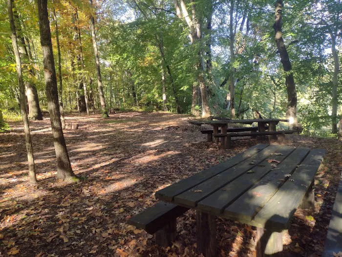 Fred J Doberstein Overlook Campground 4