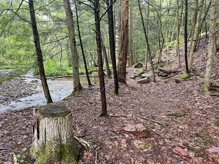 Oreland Troop 1 Hawk Mountain Camp 1