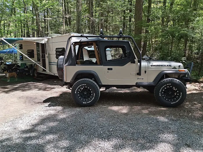 Laurel Lake Campsites 5