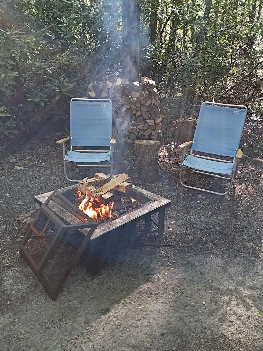 Laurel Lake Campsites 2