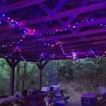 Navesink Campsite HMSR 2024