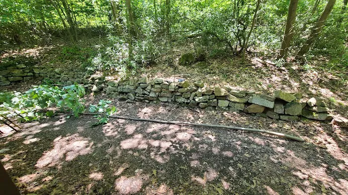 Navesink Campsite HMSR 2024 3