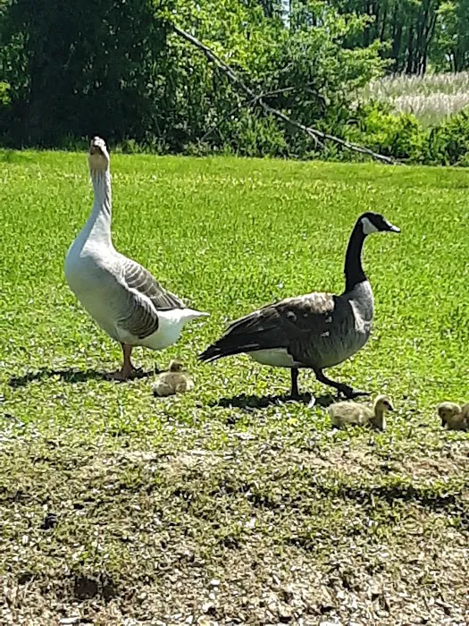 Muddy Run Park 6