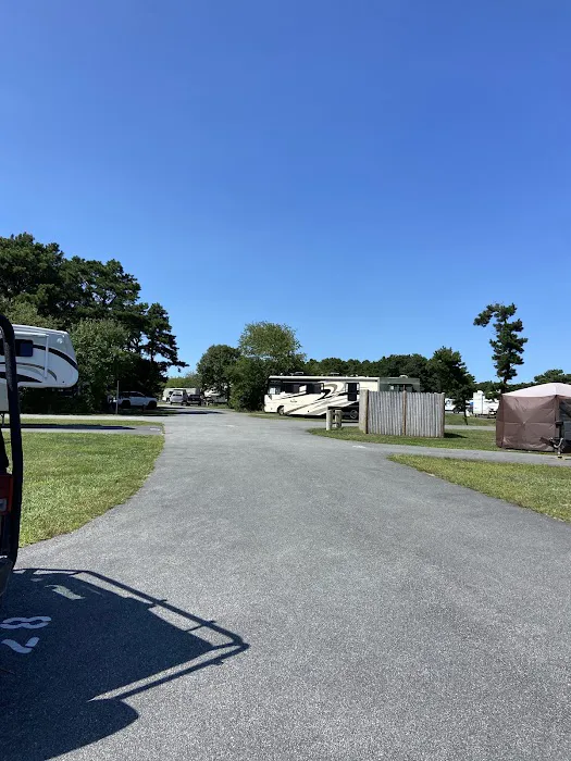 Scusset Beach Campground 8