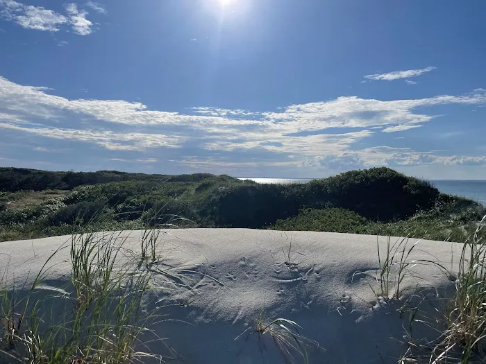 Sandy Neck Camp Sites 3