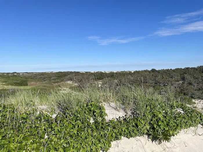 Sandy Neck Camp Sites 1