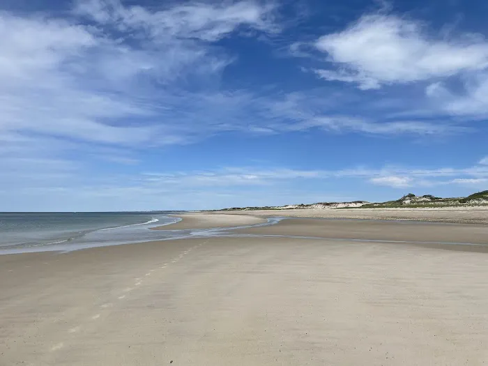Sandy Neck Camp Sites 6