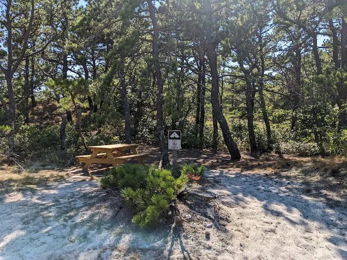 Sandy Neck Camp Sites 7