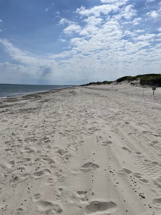 Sandy Neck Camp Sites 8