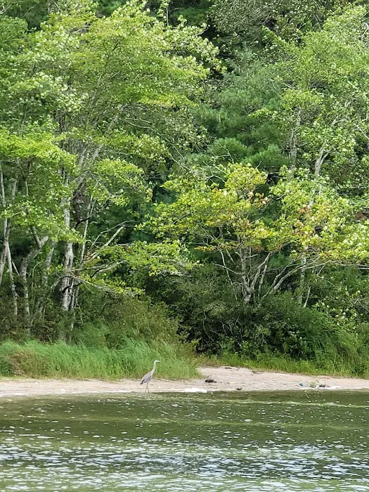 Blueberry Hill Campground 6