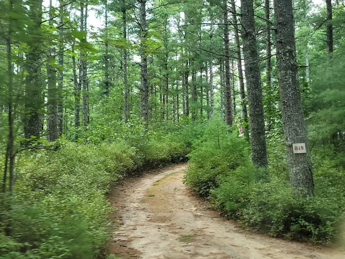 Blueberry Hill Campground 5