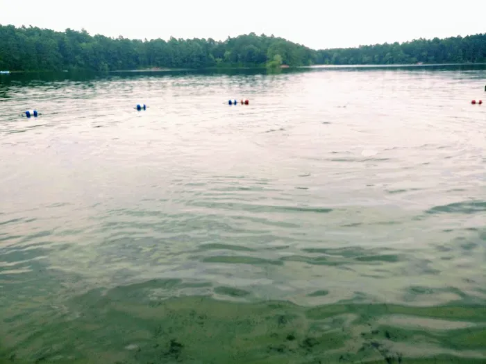 Curlew Pond campground 1