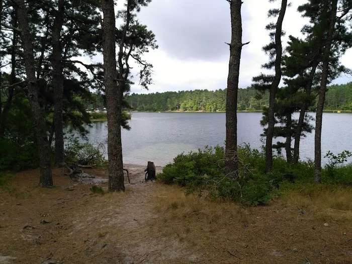 Curlew Pond campground 2