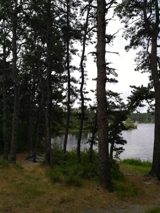 Curlew Pond campground 5