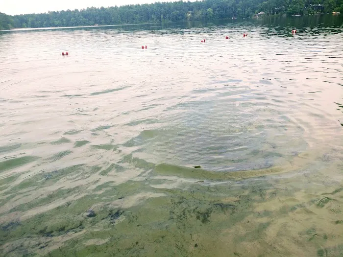 Curlew Pond campground 4