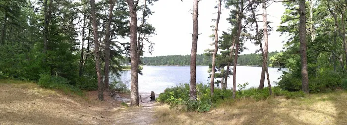 Curlew Pond campground 6