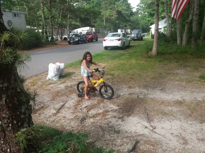 Old Chatham Road Campground 8