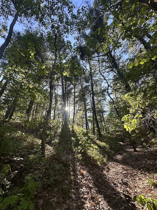 Nickerson State Park - Area 4 5