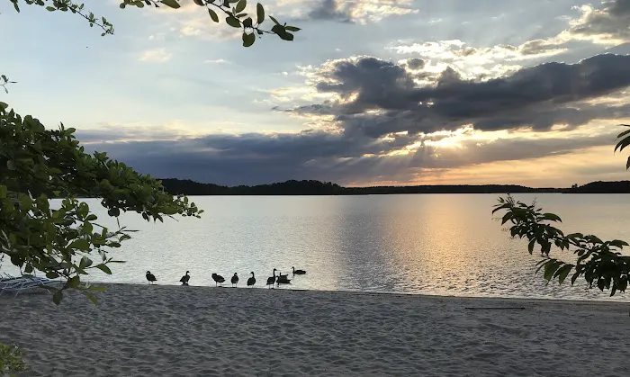 Nickerson State Park - Area 4 7