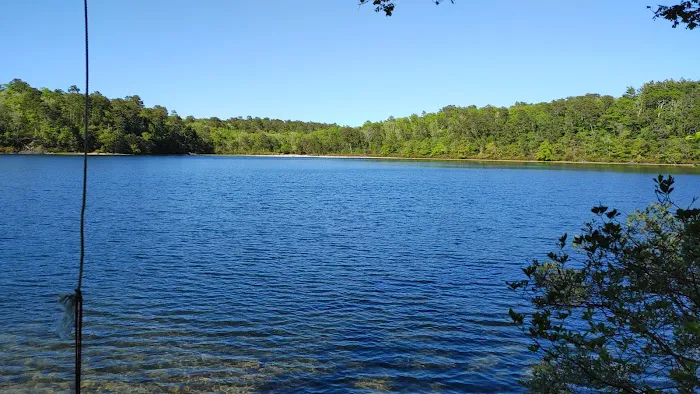 Nickerson State Park - Area 6 1