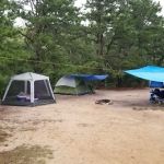 Nickerson State Park - Area 6