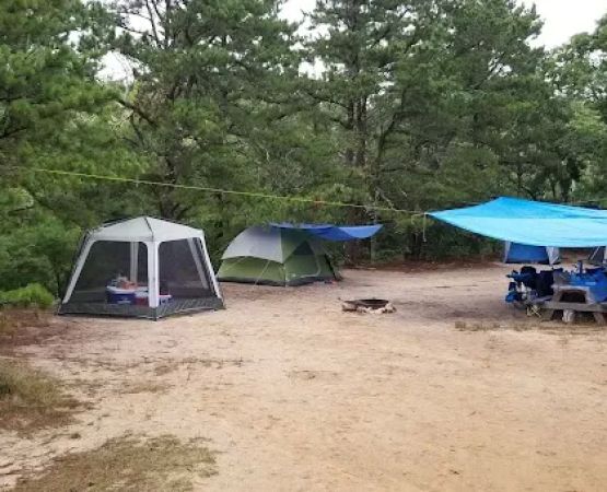 Nickerson State Park - Area 6