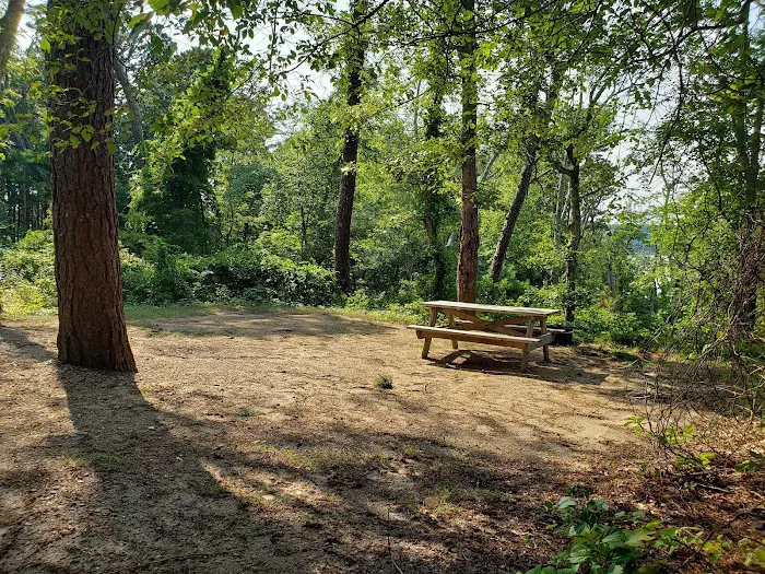 Camping Area 6 4