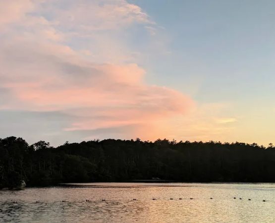 Nickerson State Park - Area 3