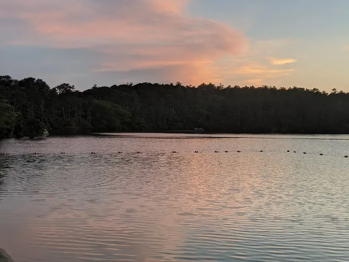 Nickerson State Park - Area 3 6