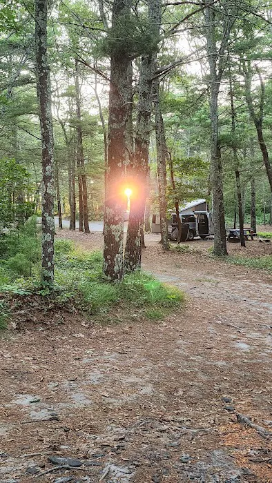 Camping Area 7 1