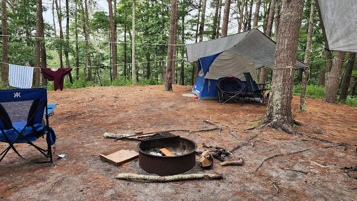 Nickerson State Park - Area 7 5