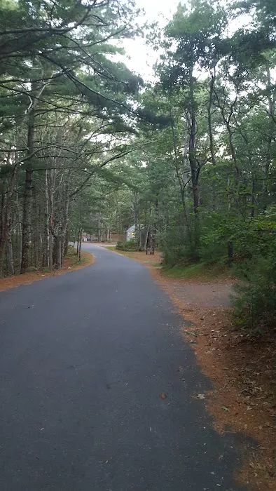 Nickerson State Park - Area 7 3