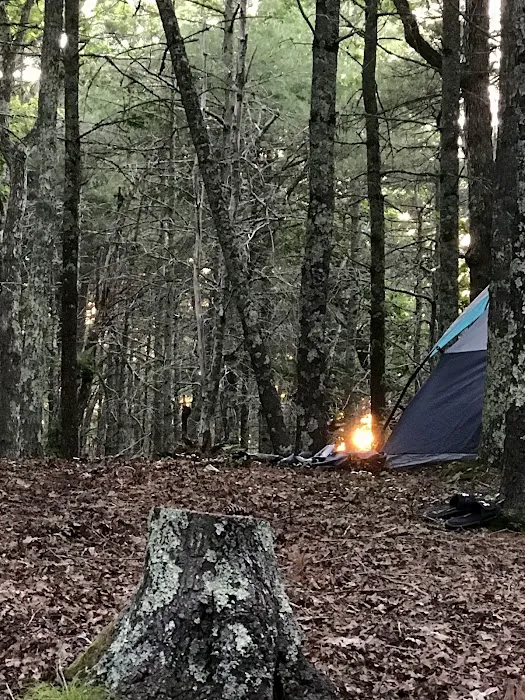 Nickerson State Park - Area 7 4