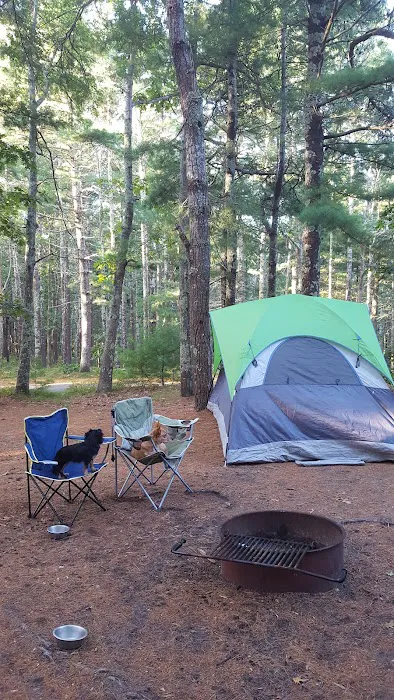 Nickerson State Park - Area 7 6