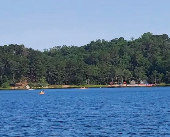 Nickerson State Park - Area 1