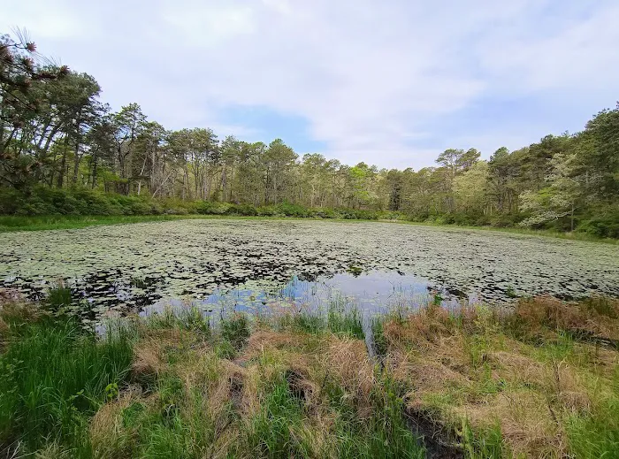 Nickerson State Park - Area 1 1