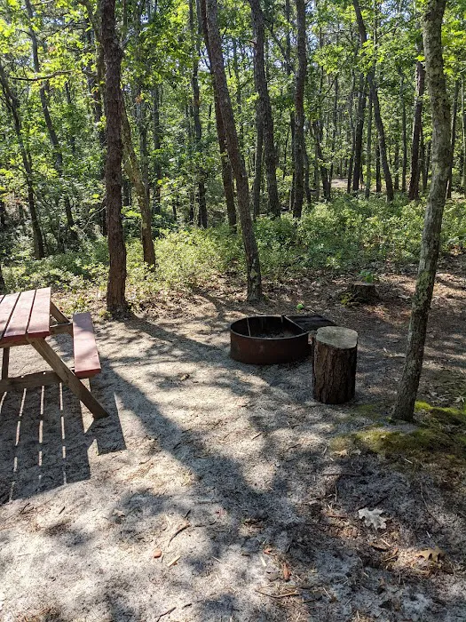 Wellfleet Hollow State Campground 0