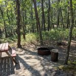 Wellfleet Hollow State Campground