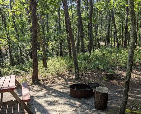 Wellfleet Hollow State Campground