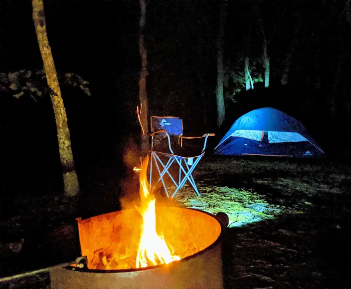 Wellfleet Hollow State Campground 2