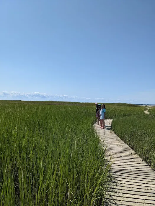 Wellfleet Hollow State Campground 3