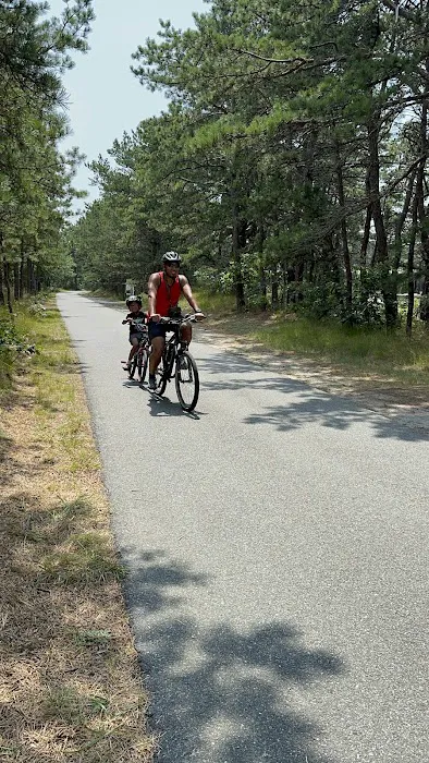 Wellfleet Hollow State Campground 7