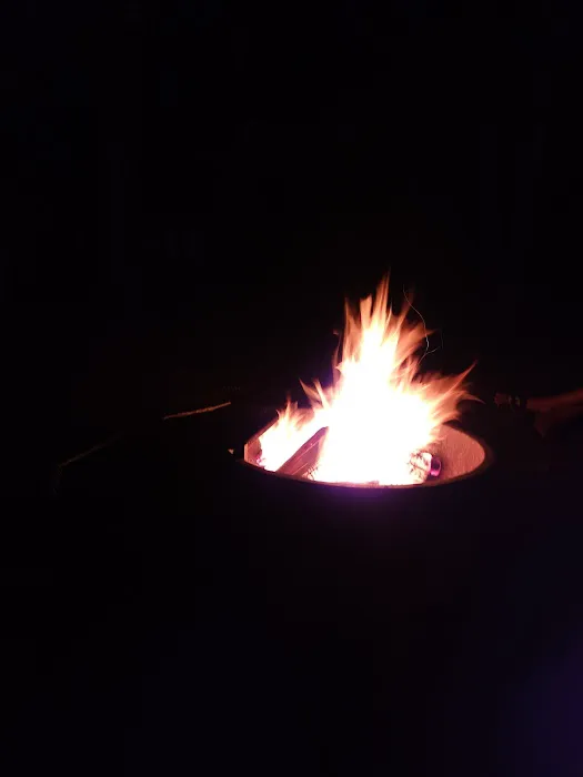 Wellfleet Hollow State Campground 8