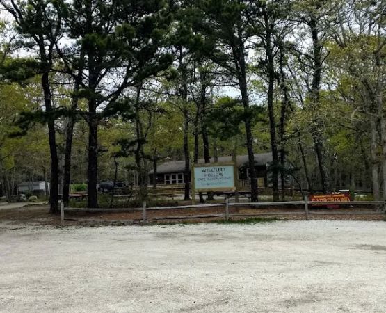 Paine's Campground