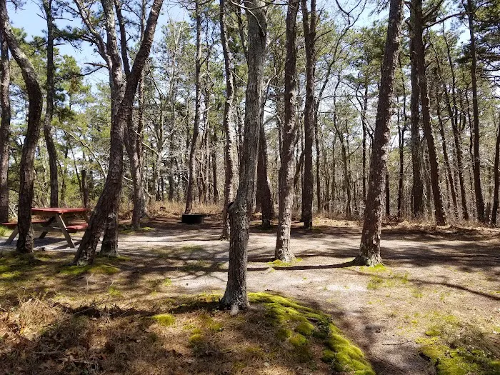 Paine's Campground 1