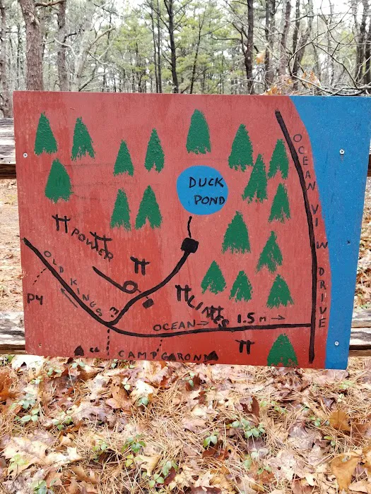 Paine's Campground 6