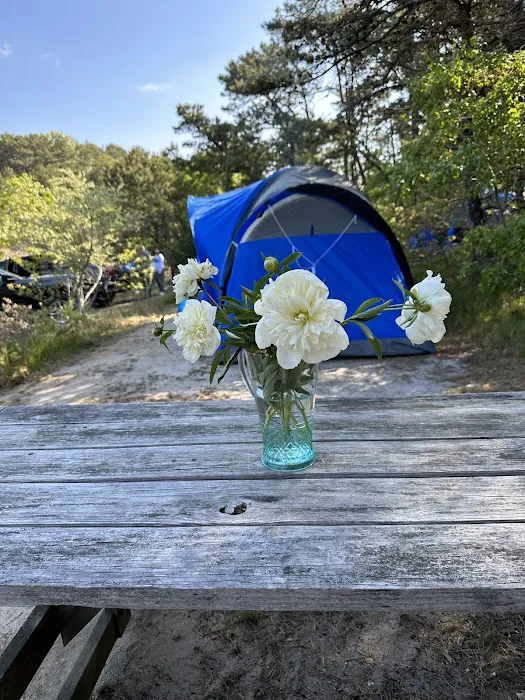 Horton's Camping Resort 11