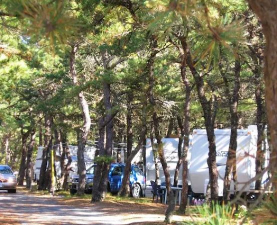 Adventure Bound Camping Resorts - Cape Cod