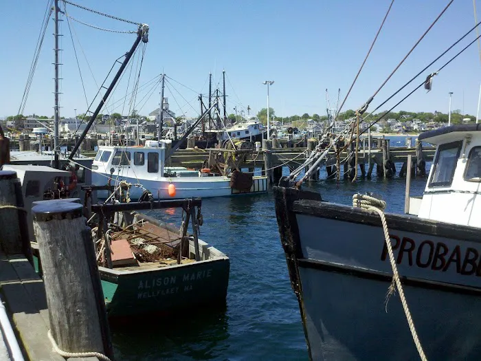 Adventure Bound Camping Resorts - Cape Cod 6