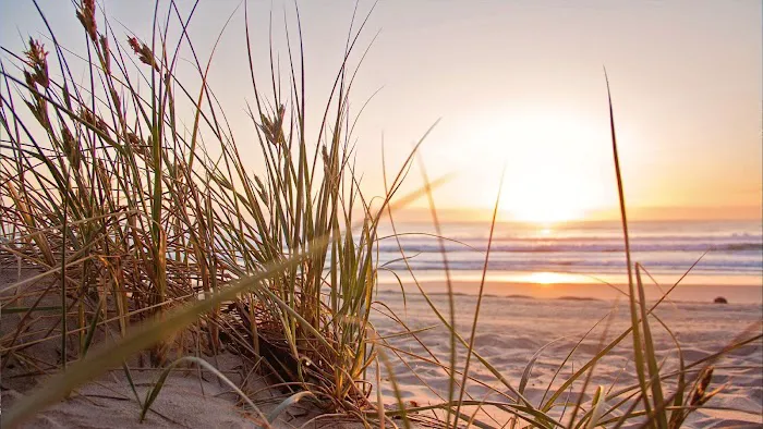 Adventure Bound Camping Resorts - Cape Cod 8